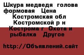 Шкура медведя  голова формовая › Цена ­ 25 000 - Костромская обл., Костромской р-н, Кострома г. Охота и рыбалка » Другое   